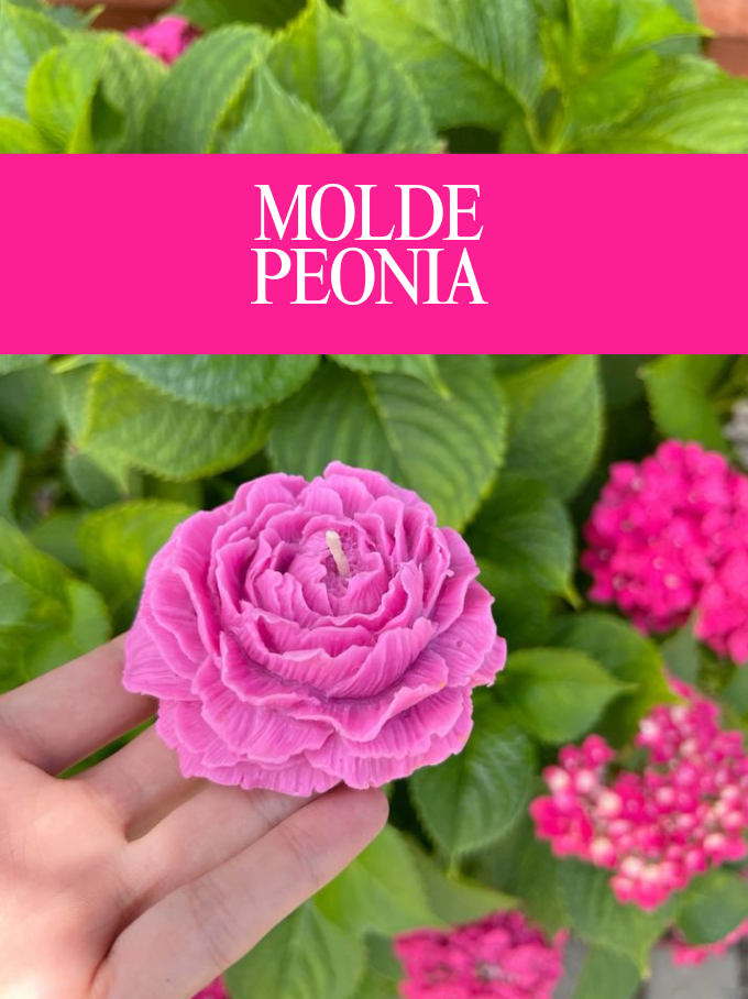 Molde de Silicona Flor de Peonía